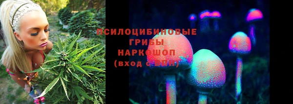 прущая мука Дмитров
