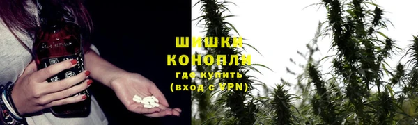 дмт Гусь-Хрустальный