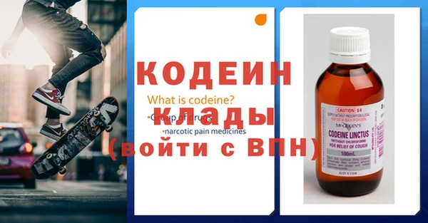 шишки Бердск