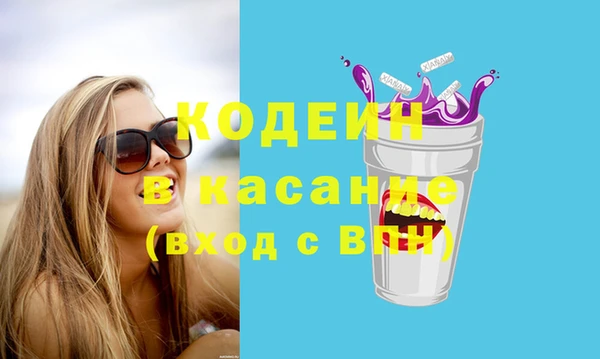 шишки Бердск
