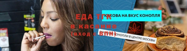 шишки Бердск