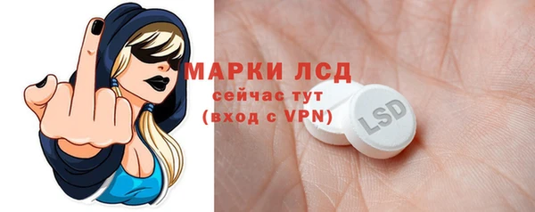 шишки Бердск