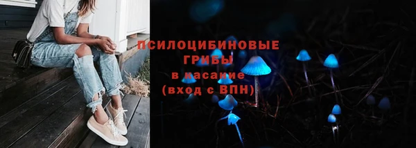 дмт Гусь-Хрустальный