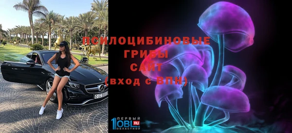 соль курить ск Дмитровск