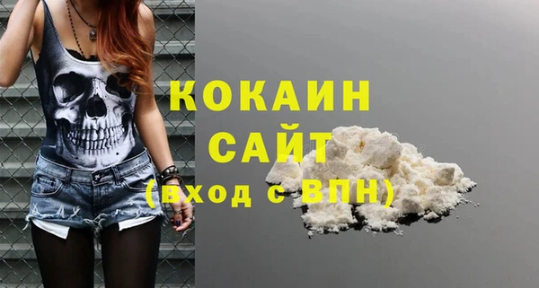 шишки Бердск