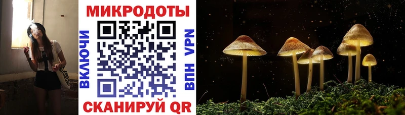 продажа наркотиков  маркетплейс какой сайт  Галлюциногенные грибы прущие грибы  Ермолино 